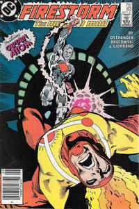 Cover Thumbnail for The Fury of Firestorm (DC, 1982 series) #63 [Newsstand]