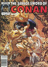 Cover Thumbnail for The Savage Sword of Conan (1974 series) #111 [Newsstand]