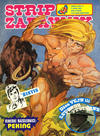 Cover for Strip Zabavnik (Dnevnik, 1979 series) #19