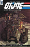 Cover Thumbnail for G.I. Joe: A Real American Hero (2010 series) #250 [Cover RI-B - Mateus Santolouco]