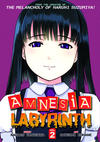 Cover for Amnesia Labyrinth (Seven Seas Entertainment, 2011 series) #2
