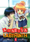 Cover for Amnesia Labyrinth (Seven Seas Entertainment, 2011 series) #1