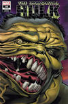 Cover Thumbnail for Immortal Hulk (2018 series) #16 [Joe Bennett Wraparound]