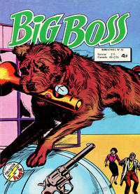 Cover Thumbnail for Big Boss (Arédit-Artima, 1970 series) #38