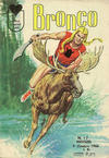 Cover for Bronco (Editions Lug, 1965 series) #17
