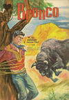 Cover for Bronco (Editions Lug, 1965 series) #20