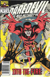 Cover Thumbnail for Daredevil (1964 series) #312 [Newsstand]
