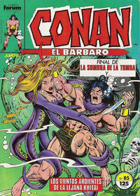 Cover Thumbnail for Conan el Bárbaro (Planeta DeAgostini, 1983 series) #85