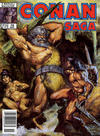 Cover for Conan Saga (Marvel, 1987 series) #19 [Newsstand]