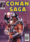 Cover for Conan Saga (Marvel, 1987 series) #22 [Newsstand]