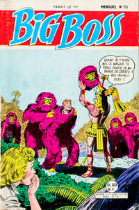 Cover Thumbnail for Big Boss (Arédit-Artima, 1960 series) #55
