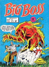 Cover Thumbnail for Big Boss (Arédit-Artima, 1970 series) #25