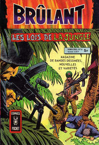 Cover Thumbnail for Brûlant (Arédit-Artima, 1977 series) #16