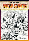 Cover for Artist's Edition (IDW, 2010 series) #19 - Jack Kirby New Gods