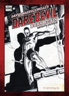 Cover for Artist's Edition (IDW, 2010 series) #[5] - David Mazzucchelli’s Daredevil Born Again