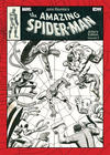 Cover for Artist's Edition (IDW, 2010 series) #[17] - John Romita’s The Amazing Spider-Man: Volume 2