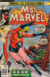 Cover for Ms. Marvel (Marvel, 1977 series) #14 [British]