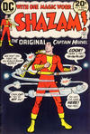 Cover for Shazam! (DC, 1973 series) #5