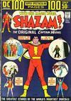 Cover for Shazam! (DC, 1973 series) #8