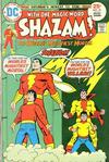Cover for Shazam! (DC, 1973 series) #19