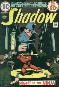 Cover for The Shadow (DC, 1973 series) #6