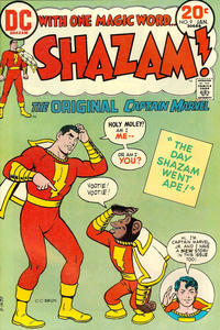 Cover Thumbnail for Shazam! (DC, 1973 series) #9