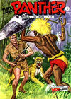 Cover for Dan Panther (Mon Journal, 1965 series) #11