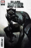 Cover Thumbnail for Black Panther (2018 series) #1 [Olivier Coipel]