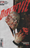 Cover for Daredevil (Marvel, 2019 series) #13 (625)