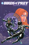 Cover for Birds of Prey: Catwoman / Oracle (DC, 2003 series) #2