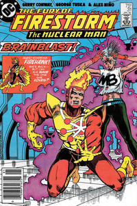 Cover Thumbnail for The Fury of Firestorm (DC, 1982 series) #31 [Newsstand]