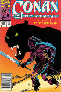 Cover Thumbnail for Conan the Barbarian (Marvel, 1970 series) #262 [Newsstand]