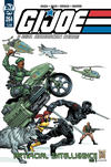 Cover Thumbnail for G.I. Joe: A Real American Hero (2010 series) #264 [Cover B - Dan Fraga and Adelso Corona]
