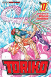 Cover for Toriko (Viz, 2010 series) #17