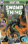 Cover for Swamp Thing Giant (DC, 2019 series) #3 [Direct Market Edition]