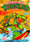 Cover for Teenage Mutant Hero Turtles (Condor, 1990 series) #15