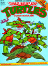 Cover for Teenage Mutant Hero Turtles (Condor, 1990 series) #17