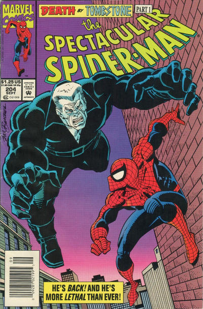 Cover for The Spectacular Spider-Man (Marvel, 1976 series) #204 [Newsstand]