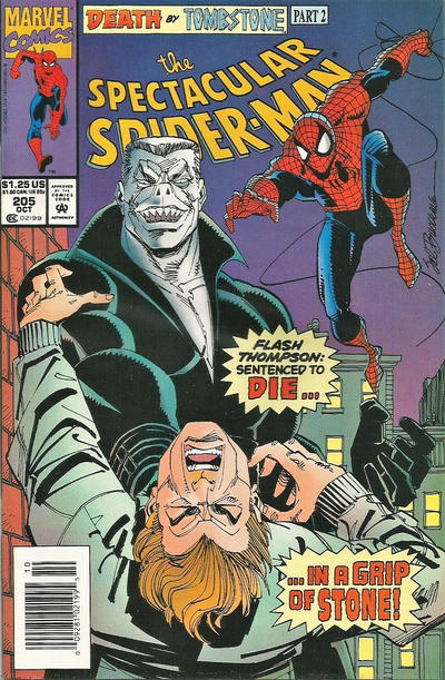 Cover for The Spectacular Spider-Man (Marvel, 1976 series) #205 [Newsstand]
