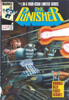 Cover Thumbnail for Punisher: Back to the War Omnibus (2017 series)  [Direct; Mike Zeck Cover]