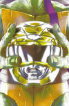 Cover Thumbnail for Mighty Morphin Power Rangers / Teenage Mutant Ninja Turtles (2019 series) #2 [Helmet (D - Donatello) - Goñi Montes]