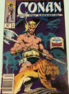 Cover Thumbnail for Conan the Barbarian (1970 series) #251 [Newsstand]