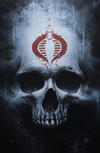 Cover Thumbnail for Snake Eyes: Deadgame (2020 series) #1 [Frankie's Comics Cobra Skull Variant - Jay Ferguson]