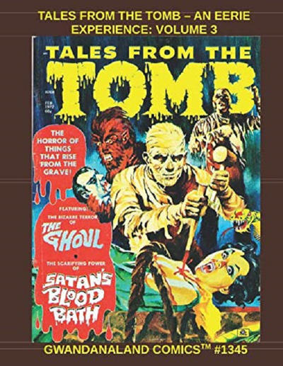 Cover for Gwandanaland Comics (Gwandanaland Comics, 2016 series) #1345 - Tales from the Tomb -An Eerie Experience: Volume 3