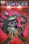 Cover Thumbnail for Teenage Mutant Ninja Turtles (2011 series) #36