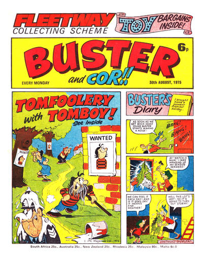 Cover for Buster (IPC, 1960 series) #30 August 1975 [772]