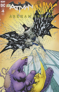 Cover Thumbnail for Batman / The Maxx: Arkham Dreams (IDW, 2018 series) #4 [Cover A]