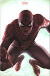 Cover Thumbnail for Marvel Legacy : Spider-Man (2018 series) #1 - La chute de Parker [variant Excalibur]