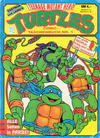 Cover for Teenage Mutant Hero Turtles (Condor, 1991 series) #1