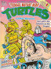 Cover for Teenage Mutant Hero Turtles (Condor, 1990 series) #39